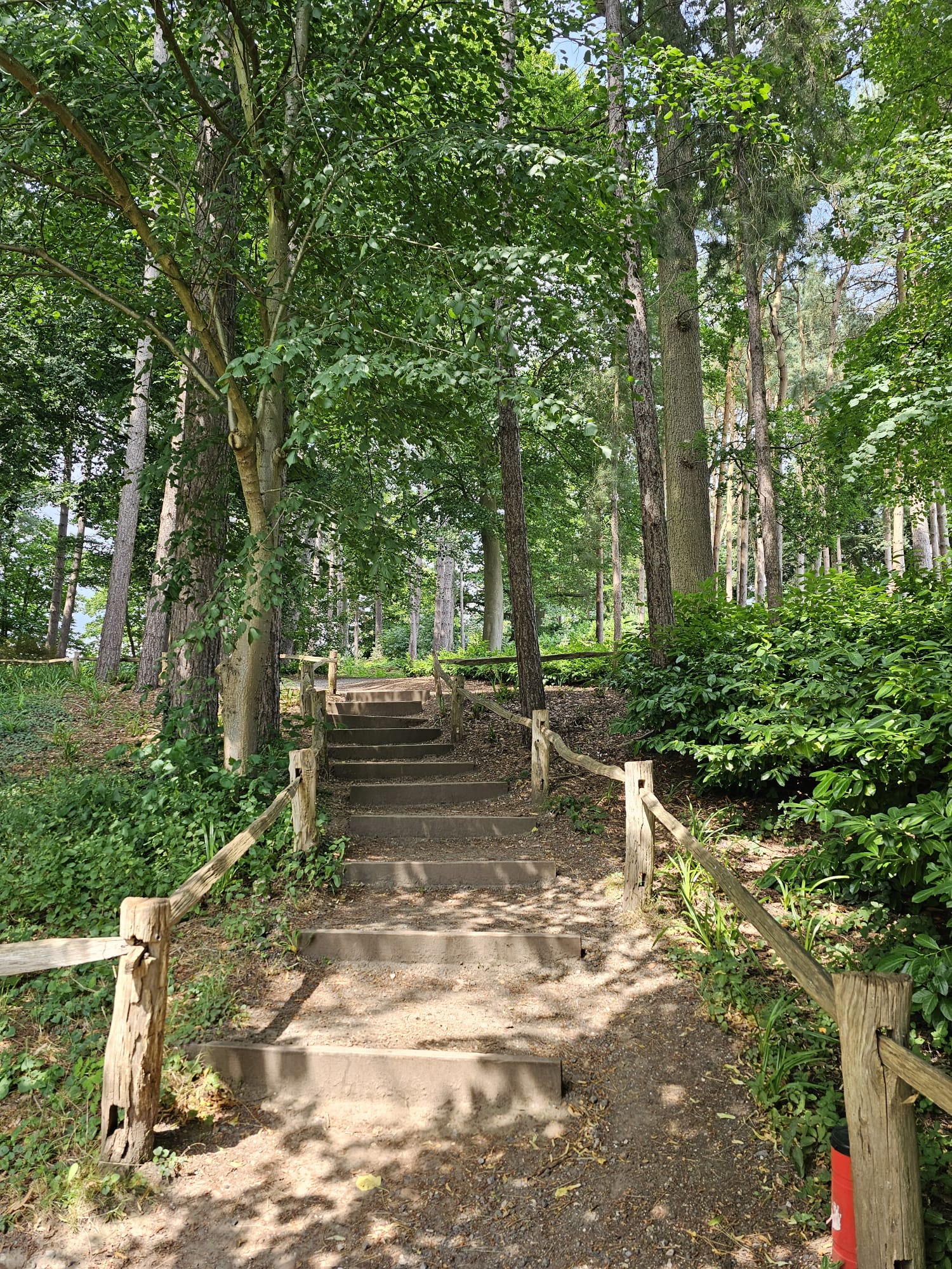 A quiet path through trees and warm natural light.